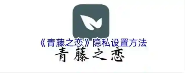 青藤之恋隐私设置