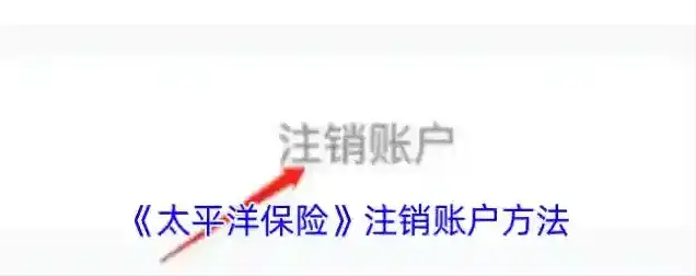 太平洋人寿保险选项