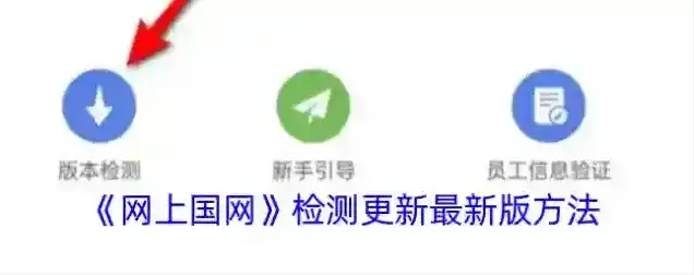网上国网版本