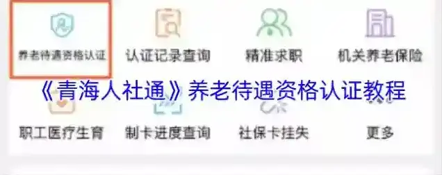 青海人社通认证
