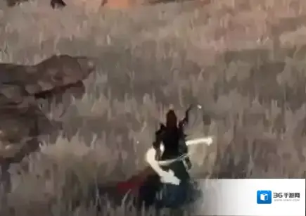 下一站江湖Ⅱ天麻