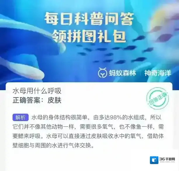 支付宝答案大全