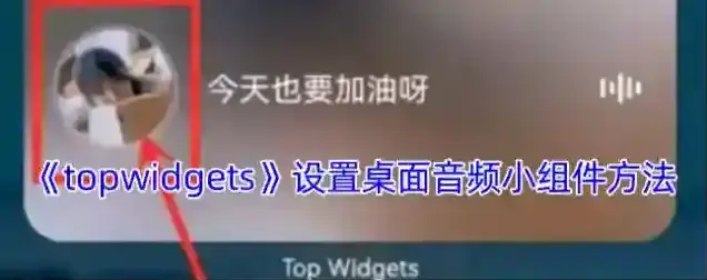 topwidgets小组件