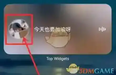topwidgets音频