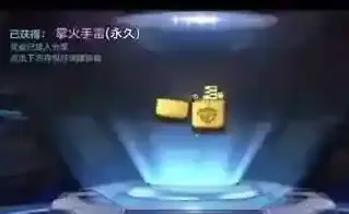 穿越火线:枪战王者水晶