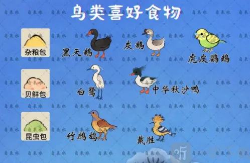 桃源深处有人家鸟类喜好食物有哪些 鸟类喜好食物一览