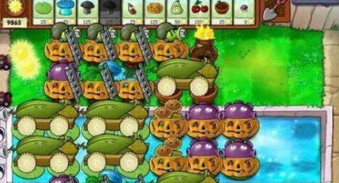 植物大战僵尸玉米加农炮