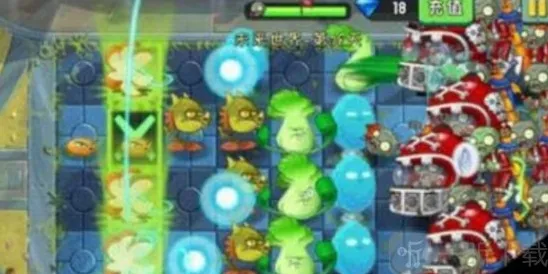 植物大战僵尸地雷