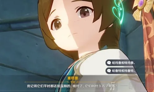 原神两只猫的名字是什么 塞塔蕾的猫名字分享