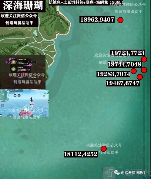 创造与魔法珊瑚