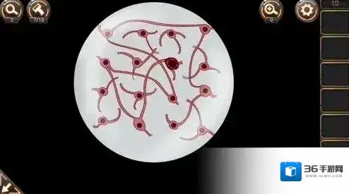 密室逃脱24末日危机桌子