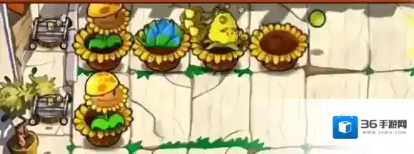 植物大战僵尸杂交版放一个