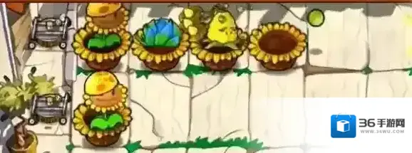 植物大战僵尸杂交版钻石种子怎么过-植物大战僵尸杂交版商店副本钻石种子攻略