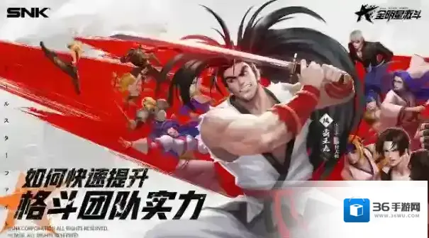 全明星激斗格斗家