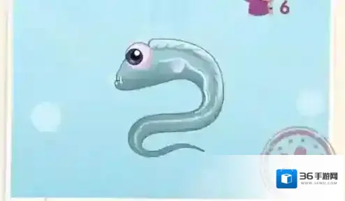 摩尔庄园手游带鱼几点钓 摩尔庄园手游带鱼刷新时间