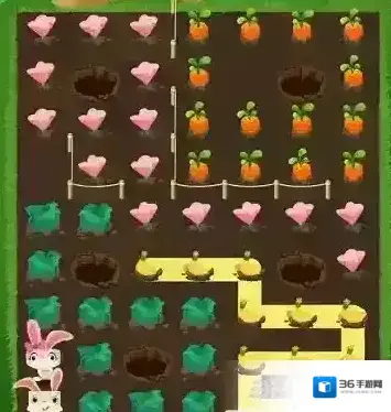 兔子复仇记中文版五针松