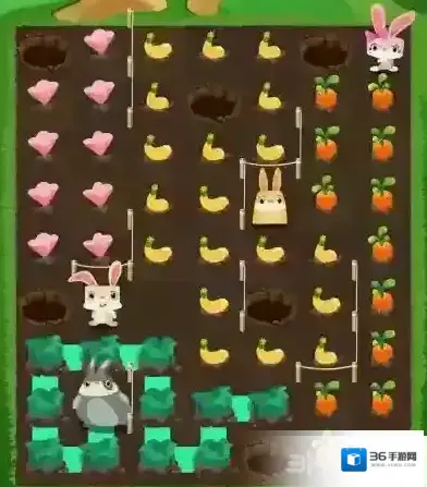 兔子复仇记中文版五针松