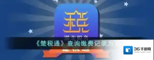 《楚税通》查询缴费记录方法
