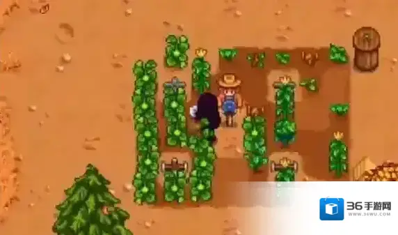 星露谷物语任务攻略