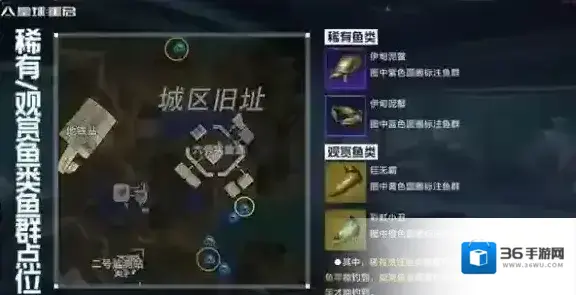 星球重启稀有