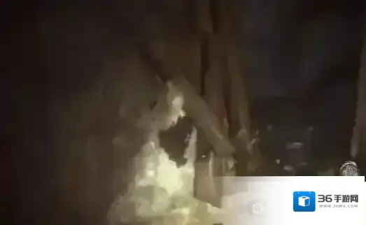 帕斯卡契约终极版未加密学习补丁青蛙