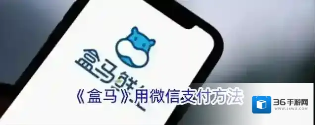 《盒马》用微信支付方法