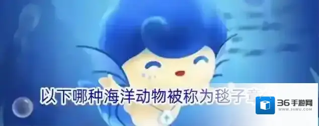 以下哪种海洋动物被称为毯子章鱼