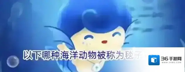 以下哪种海洋动物被称为毯子章鱼