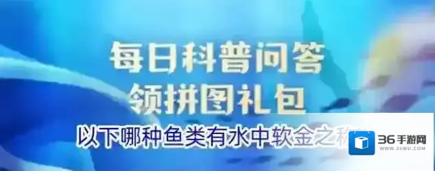 以下哪种鱼类有水中软金之称