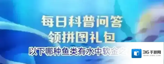 以下哪种鱼类有水中软金之称