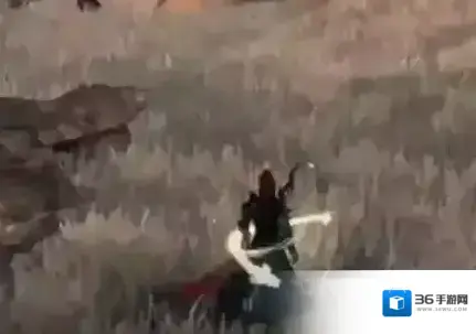 下一站江湖Ⅱ天麻