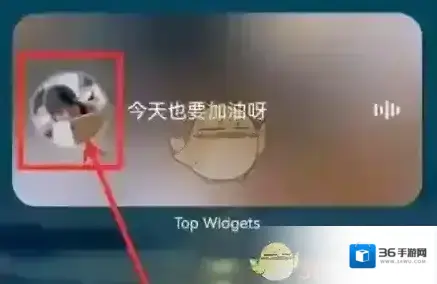 topwidgets音频