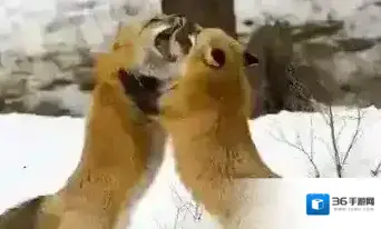 终结者2：审判日玩家