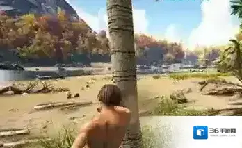 方舟生存进化如何采集茅草 茅草在哪里采集