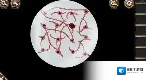 密室逃脱24末日危机桌子