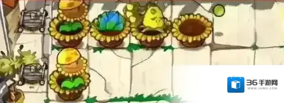 植物大战僵尸杂交版放一个