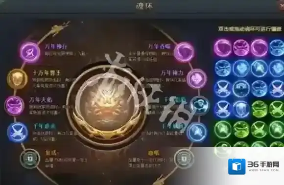 斗罗大陆星斗大森林