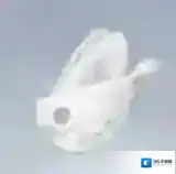 无限暖暖提包鱼怎么获得 无限暖暖提包鱼获取方法