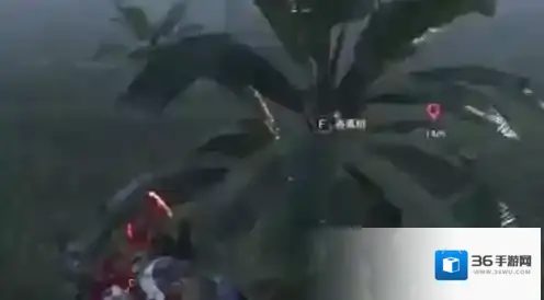 七日世界香蕉怎么获取 七日世界香蕉获取方法