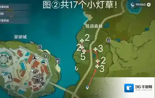 原神小灯草在哪里最多