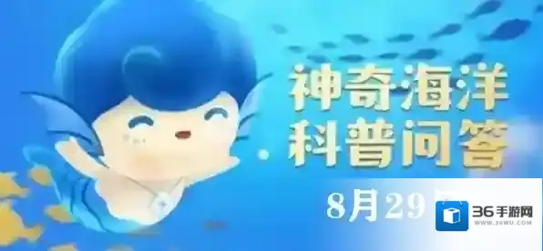 神奇海洋今日答案8.29：一般来说，墨鱼、花枝或墨斗鱼指的都是