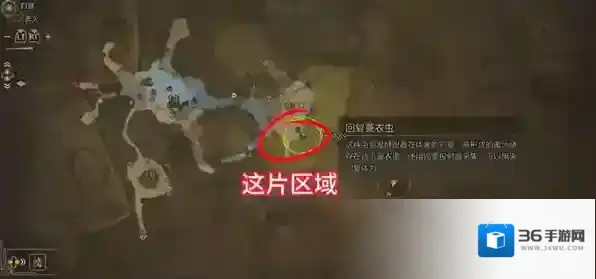 怪物猎人荒野寻找黑炎任务怎么做 怪物猎人荒野寻找黑炎任务攻略