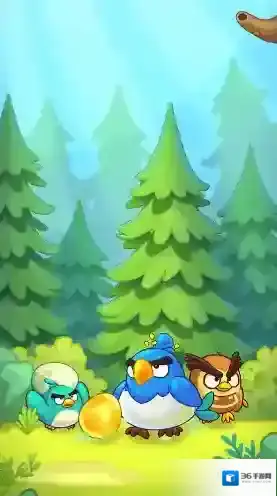 萌鸟总动员小鸟