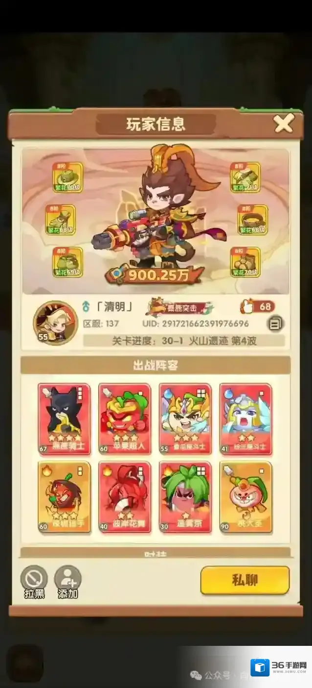 保卫向日葵双系阵容玩法攻略详解