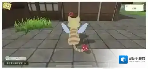 小森生活动物生气怎么办 动物生气怎么安抚动物