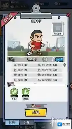 足球大人物玩家