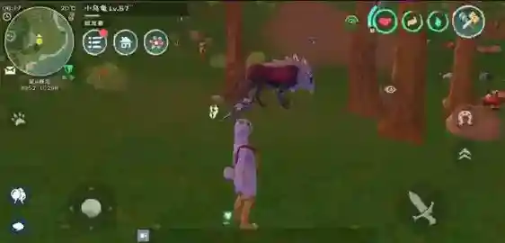 创造与魔法孤狼坐标在哪里