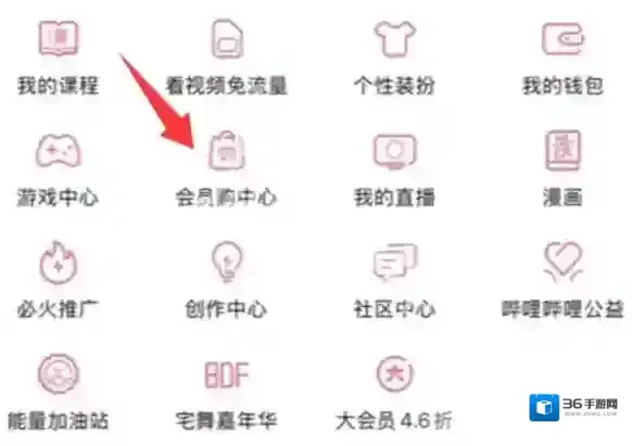 哔哩哔哩会员购