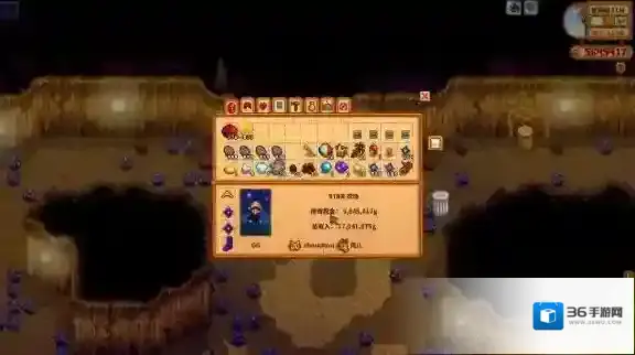 星露谷物语沙漠