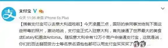 支付宝意大利